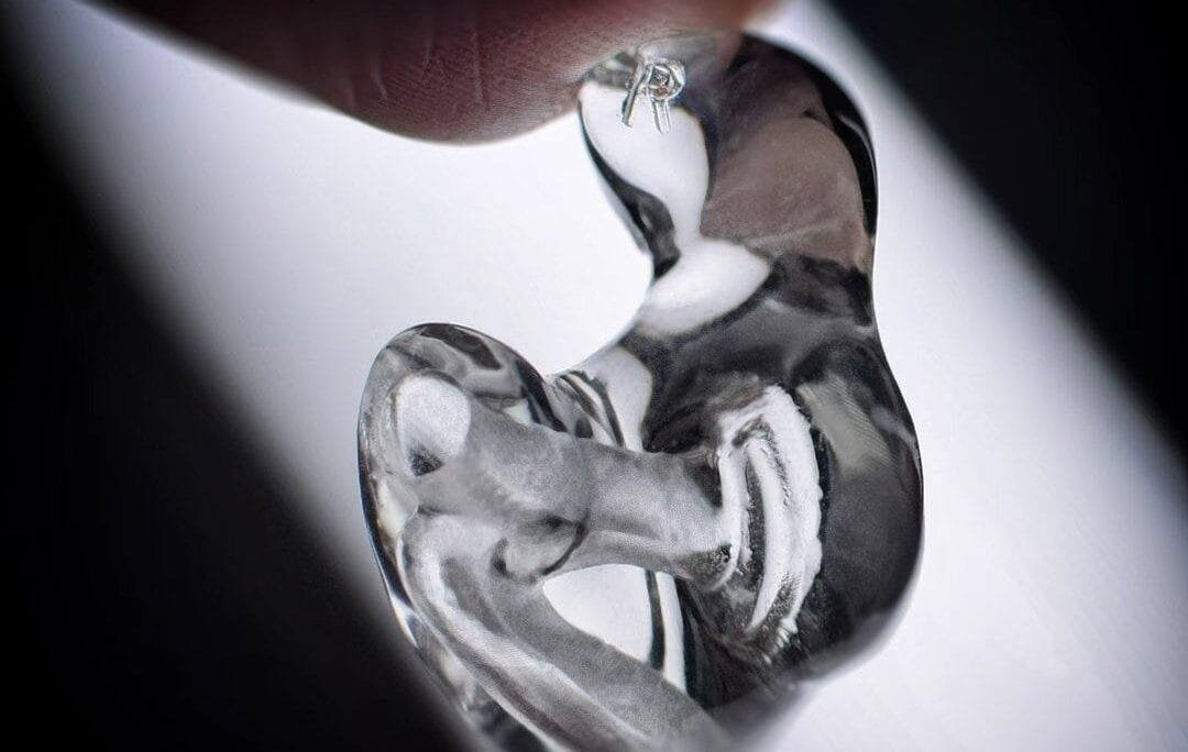 新聞主播專用既個人訂製IFB耳機耳模2