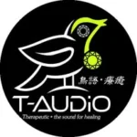 T-Audio.co